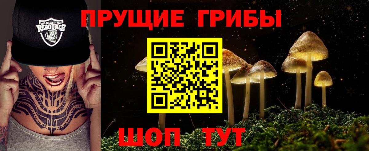 Псилоцибиновые грибы прущие грибы  Вход с VPN  Псилоцибиновые грибы Psilocybine cubensis  Алейск 